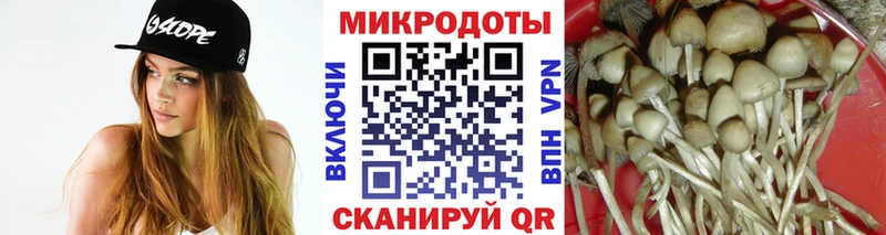 Галлюциногенные грибы MAGIC MUSHROOMS  Купить  Мурино 