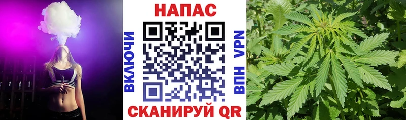 Купить закладки  Мурино  Шишки марихуана THC 21% 